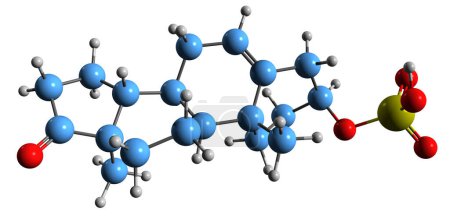 Téléchargez les photos : Image 3D de formule squelettique de sulfate de déhydroépiandrostérone structure chimique moléculaire de stéroïde androstane endogène isolé sur fond blanc - en image libre de droit