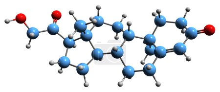 Foto de Imagen 3D de la fórmula esquelética Deoxycorticosterone - estructura química molecular de la hormona esteroide Desoxycortone aislado sobre fondo blanco - Imagen libre de derechos