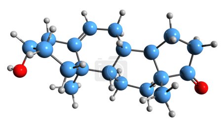 Photo for 3D image of Dehydroepiandrosterone skeletal formula - molecular chemical structure of  steroid hormone precursor DHEA isolated on white background - Royalty Free Image