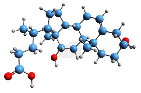 Foto de Imagen 3D de la fórmula esquelética del ácido desoxicólico: estructura química molecular del ácido biliar aislado sobre fondo blanco - Imagen libre de derechos