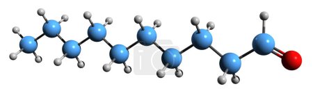 Foto de Imagen 3D de la fórmula esquelética Decanal - estructura química molecular del caprinaldehído aislado sobre fondo blanco - Imagen libre de derechos