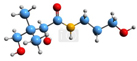 Téléchargez les photos : Image 3D de la formule squelettique du dexpanthénol - structure chimique moléculaire de la provitamine B5 isolée sur fond blanc - en image libre de droit
