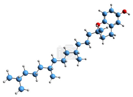 Téléchargez les photos : Image 3D de la formule squelettique delta-tocotriénol - structure chimique moléculaire du métabolite végétal isolé sur fond blanc - en image libre de droit