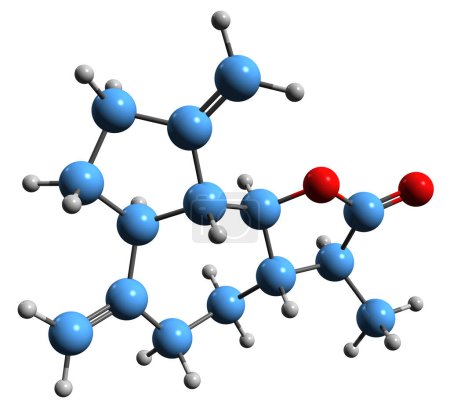 Photo for 3D image of dihydrozaluzanine C skeletal formula - molecular chemical structure of phytochemical isolated on white background - Royalty Free Image