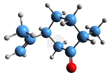 Téléchargez les photos : Image 3D de la formule squelettique de la dihydrocarvone - structure chimique moléculaire du terpénoïde isolé sur fond blanc - en image libre de droit