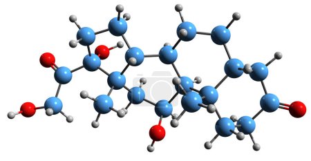 Photo for 3D image of 11-Dehydrocorticosterone skeletal formula - molecular chemical structure of 11-Oxocorticosterone isolated on white background - Royalty Free Image