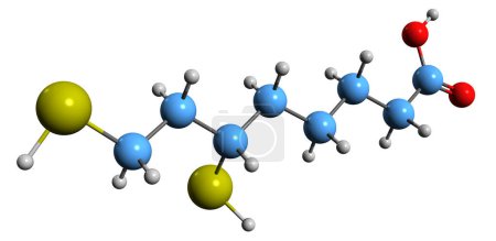 Photo for 3D image of Dihydrolipoic acid skeletal formula - molecular chemical structure of Reduced lipoic acid isolated on white background - Royalty Free Image