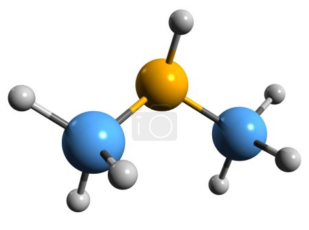 Foto de Imagen 3D de la fórmula esquelética de dimetilamina - estructura química molecular de la amina secundaria N-metilmetanamina aislada sobre fondo blanco - Imagen libre de derechos