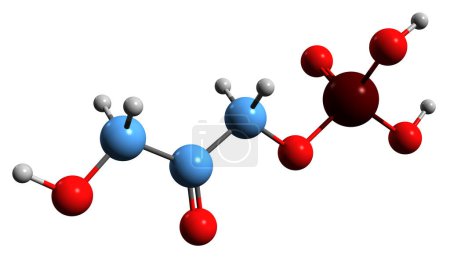 Photo for 3D image of Dihydroxyacetone phosphate skeletal formula - molecular chemical structure of glycerone phosphate isolated on white background - Royalty Free Image