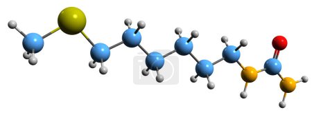 Foto de Imagen 3D de la fórmula esquelética Diptocarpain - estructura química molecular del alcaloide aislado sobre fondo blanco - Imagen libre de derechos