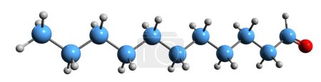 Foto de Imagen 3D de la fórmula esquelética de Dodecanal - estructura química molecular del lauraldehído aislado sobre fondo blanco - Imagen libre de derechos