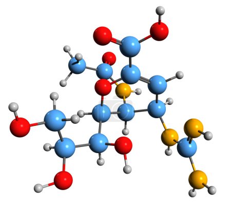 Téléchargez les photos : Image 3D de la formule squelettique de Zanamivir - structure chimique moléculaire du médicament antigrippal isolé sur fond blanc - en image libre de droit