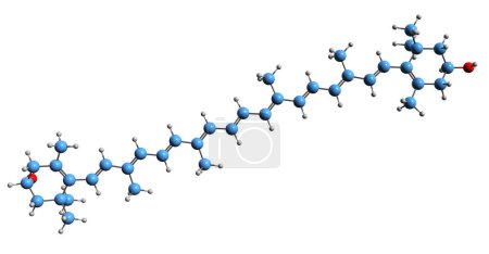 Foto de Imagen 3D de la fórmula esquelética de zeaxantina - estructura química molecular de la xantofila carotenoide aislada sobre fondo blanco - Imagen libre de derechos