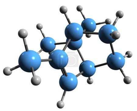 Téléchargez les photos : Image 3D de la formule squelettique zita fenchen - structure chimique moléculaire de phytochimique isolé sur fond blanc - en image libre de droit