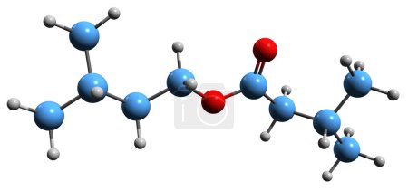 Photo for 3D image of Isoamyl isovalerate skeletal formula - molecular chemical structure of Isopentyl 3-methylbutanoate isolated on white background - Royalty Free Image