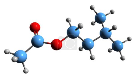 Téléchargez les photos : Image 3D de la formule squelettique de l'acétate d'isoamyle - structure chimique moléculaire de l'acétate d'isopentyle isolé sur fond blanc - en image libre de droit