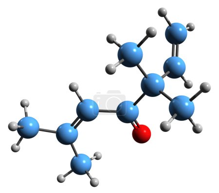 Foto de Imagen 3D de la fórmula esquelética de isoartemisia cetona - estructura química molecular del sesquiterpeno aislado sobre fondo blanco - Imagen libre de derechos