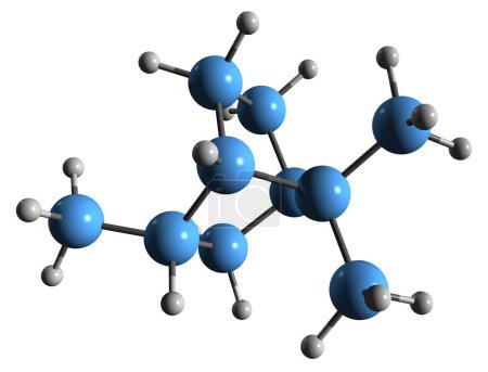 Photo for 3D image of isobornylane skeletal formula - molecular chemical structure of Terpene isolated on white background - Royalty Free Image