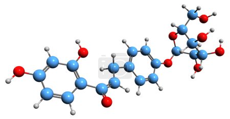 Photo for 3D image of Isoliquiritin skeletal formula - molecular chemical structure of trans-chalcone Isoliquiritoside isolated on white background - Royalty Free Image