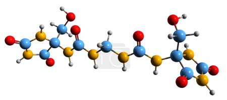 Photo for 3D image of Imidazolidinyl urea skeletal formula - molecular chemical structure of cosmetics antimicrobial preservative isolated on white background - Royalty Free Image