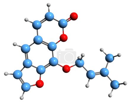  Imagen 3D de la fórmula esquelética de Imperatorin - estructura química molecular de furocumarina aislada sobre fondo blanco