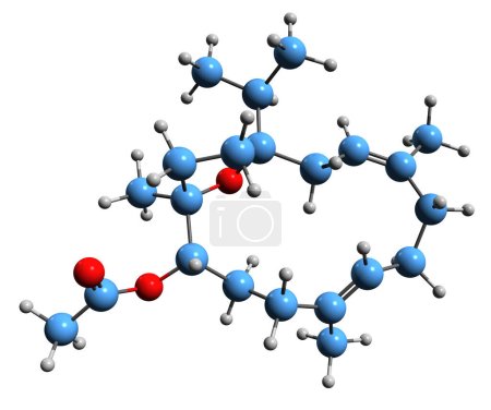 Téléchargez les photos : Image 3D de la formule squelettique de l'acétate d'Incensole - structure chimique moléculaire de l'alcool cembrène diterpène isolé sur fond blanc - en image libre de droit