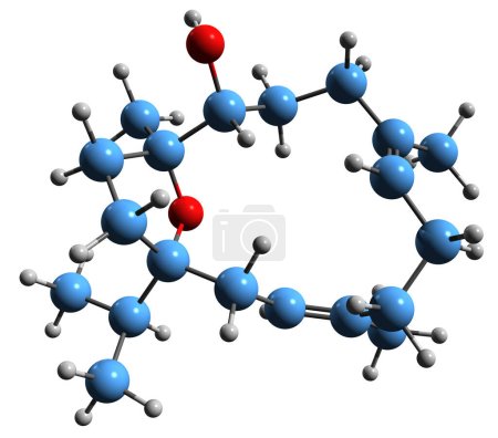 Téléchargez les photos : Image 3D de la formule squelettique Incensole - structure chimique moléculaire de l'alcool cembrène diterpène isolé sur fond blanc - en image libre de droit