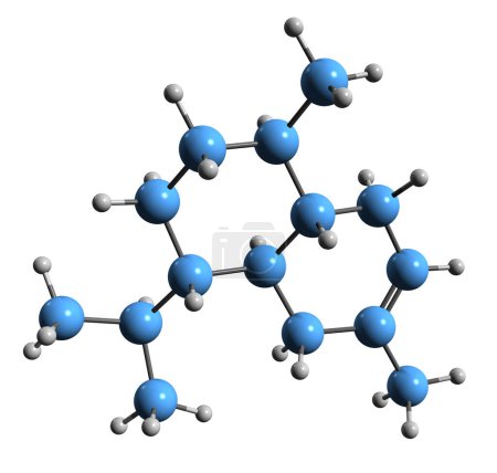 Téléchargez les photos : Image 3D de la formule squelettique Cadinène - structure chimique moléculaire de l'huile essentielle phytochimique isolée sur fond blanc - en image libre de droit