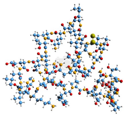 Foto de Imagen 3D de la fórmula esquelética de Calcitonina - estructura química molecular de la hormona peptídica aislada sobre fondo blanco - Imagen libre de derechos