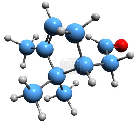 Foto de Imagen 3D de la fórmula esquelética alfa-Campholenal - estructura química molecular del aldehído de Campholene aislado sobre fondo blanco - Imagen libre de derechos