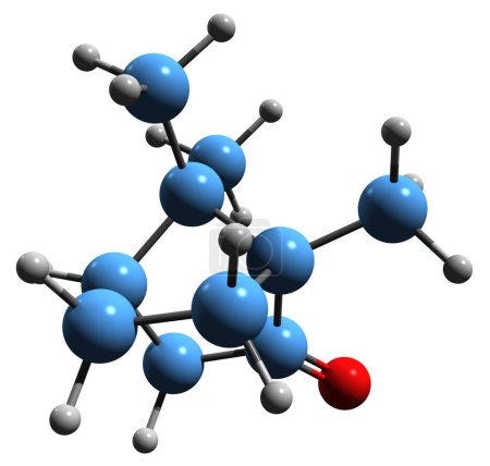 Foto de Imagen 3D de la fórmula esquelética de alcanfor - estructura química molecular del terpenoide Formosa aislado sobre fondo blanco - Imagen libre de derechos
