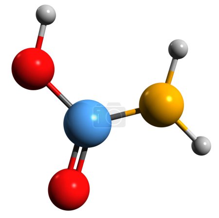 Photo for 3D image of Carbamic acid skeletal formula - molecular chemical structure of Aminomethanoic acid isolated on white background - Royalty Free Image