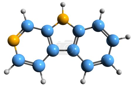 Foto de Imagen 3D de la fórmula esquelética Carbolina - estructura química molecular del alcaloide Norharmane aislado sobre fondo blanco - Imagen libre de derechos