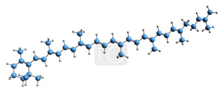 Foto de Imagen 3D de la fórmula esquelética gamma-caroteno: estructura química molecular de la carotina de pigmento fotosintético aislada sobre fondo blanco - Imagen libre de derechos