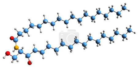 Téléchargez les photos : Image 3D de la formule squelettique céramide - structure chimique moléculaire de l "échantillon de molécule lipidique cireuse isolé sur fond blanc - en image libre de droit