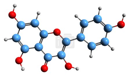 Photo for 3D image of Kaempferol skeletal formula - molecular chemical structure of  natural flavonol isolated on white background - Royalty Free Image