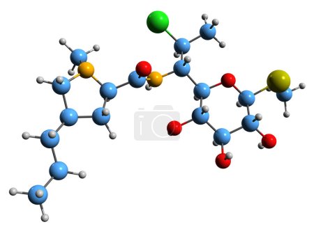 Foto de Imagen 3D de la fórmula esquelética de Clindamycin - estructura química molecular de antibiótico aislado sobre fondo blanco - Imagen libre de derechos