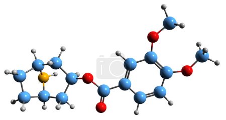 Foto de Imagen 3D de la fórmula esquelética de Convolvine - estructura química molecular de Veratroylnortropine aislada sobre fondo blanco - Imagen libre de derechos