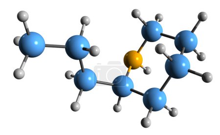 Photo for 3D image of Coniine skeletal formula - molecular chemical structure of  alkaloid Propylpiperidine isolated on white background - Royalty Free Image