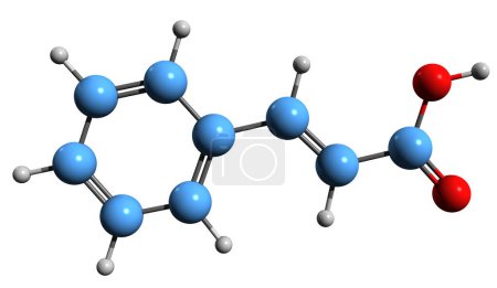  3D-Aufnahme der Zimtsäureskelettformel - molekulare chemische Struktur der Phenylacrylsäure isoliert auf weißem Hintergrund