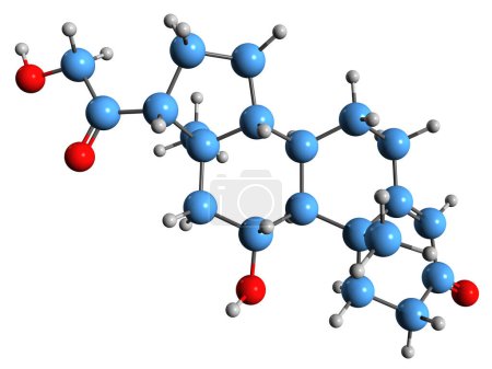 Téléchargez les photos : Image 3D de la formule squelettique Cortisol - structure chimique moléculaire de l'hormone stéroïde isolée sur fond blanc - en image libre de droit