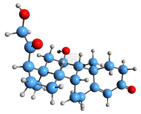 Téléchargez les photos : Image 3D de la formule squelettique de la corticostérone - structure chimique moléculaire de l'hormone stéroïde 17-désoxycortisol isolée sur fond blanc - en image libre de droit