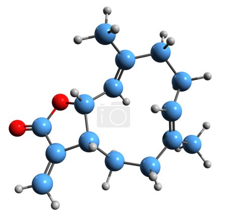 Foto de Imagen en 3D de la fórmula esquelética de Costunolide: estructura química molecular de la lactona sesquiterpeno aislada sobre fondo blanco - Imagen libre de derechos