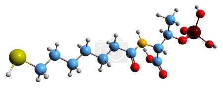 Téléchargez les photos : Image 3D de la formule squelettique de la coenzyme B - structure chimique moléculaire du 7-mercaptoheptanoylthréoninephosphate isolé sur fond blanc - en image libre de droit