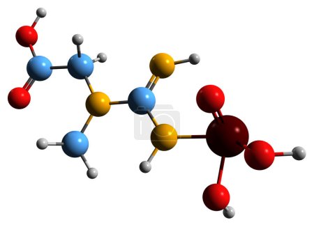 Photo for 3D image of Phosphocreatine skeletal formula - molecular chemical structure of creatine phosphate isolated on white background - Royalty Free Image