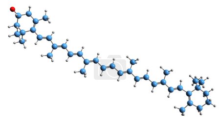 Foto de Imagen 3D de la fórmula esquelética de criptoxantina - estructura química molecular del pigmento carotenoide natural aislado sobre fondo blanco - Imagen libre de derechos