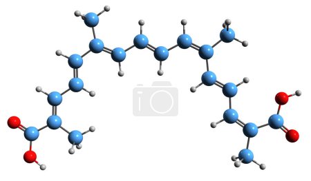 Téléchargez les photos : Image 3D de la formule squelettique Crocetin - structure chimique moléculaire du transcrocétine isolé sur fond blanc - en image libre de droit
