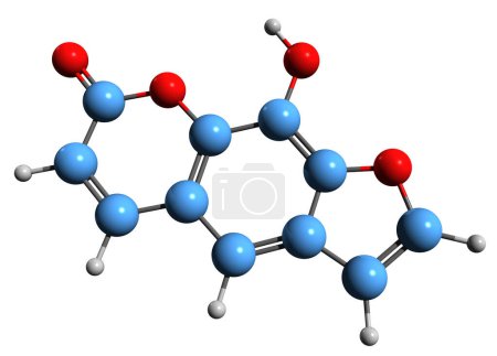 Foto de Imagen 3D de la fórmula esquelética de Xanthotoxol - estructura química molecular de furanocumarina aislada sobre fondo blanco - Imagen libre de derechos