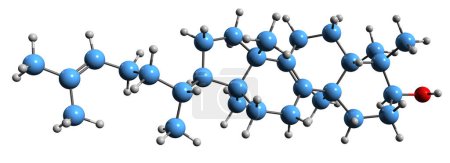 Foto de Imagen 3D de la fórmula esquelética de Lanosterol - estructura química molecular del triterpenoide tetracíclico aislado sobre fondo blanco - Imagen libre de derechos