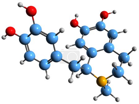 Foto de Imagen 3D de la fórmula esquelética de laudonozolina: estructura química molecular del opiáceo aislado sobre fondo blanco - Imagen libre de derechos